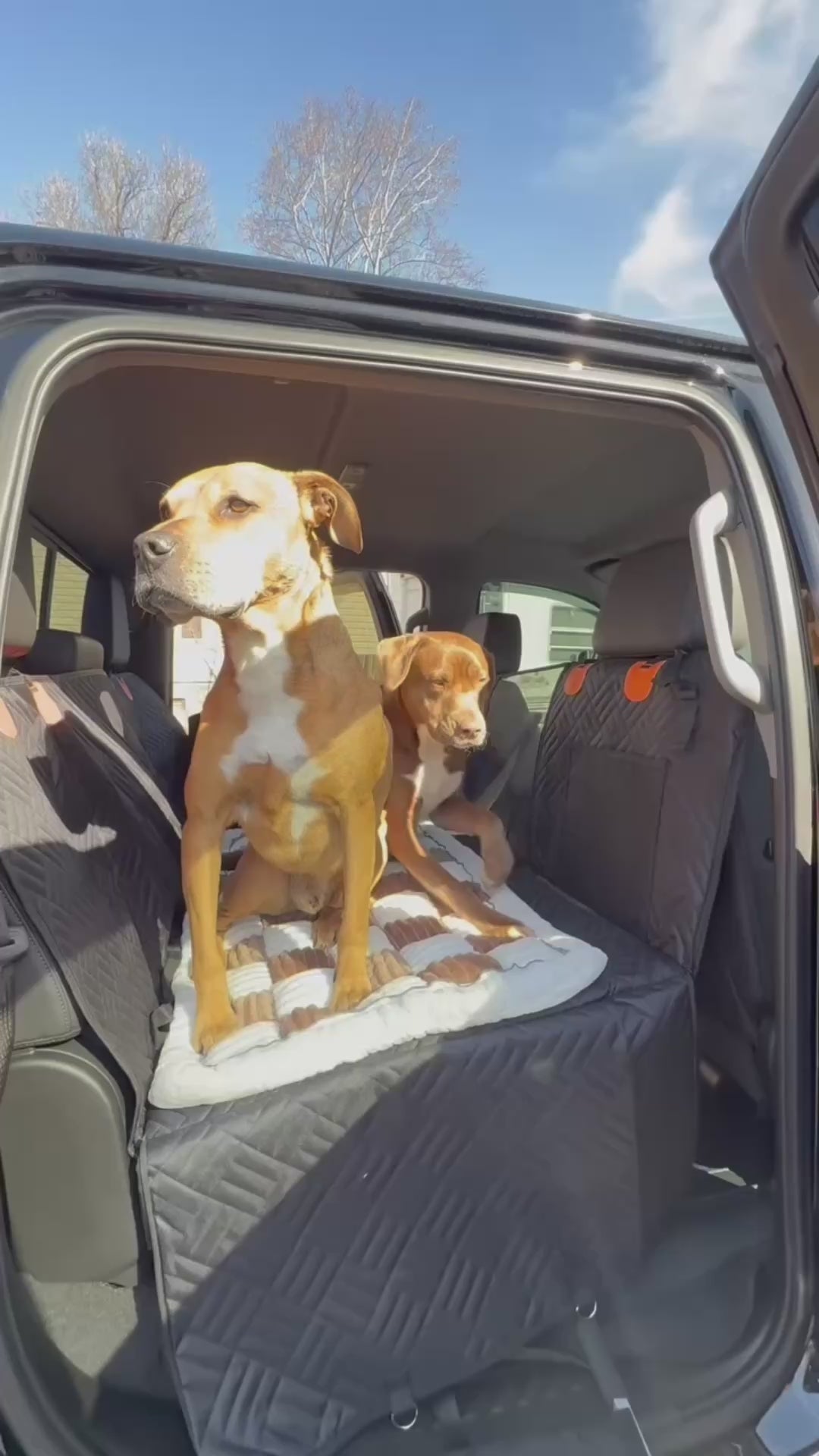 AutoNest™ Premium Waterproof Dog Car Seat Cover